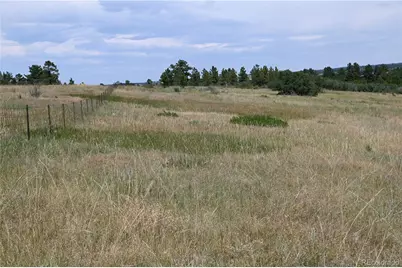 1579 Deerpath Road, Franktown, CO 80116 - Photo 24