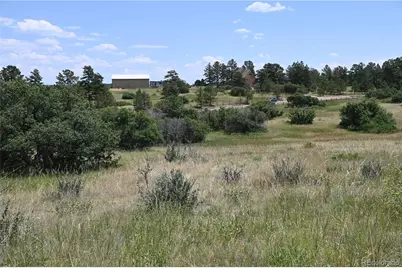 1579 Deerpath Road, Franktown, CO 80116 - Photo 32