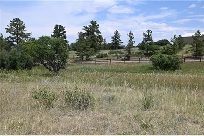 1579 Deerpath Road, Franktown, CO 80116 - Photo 40