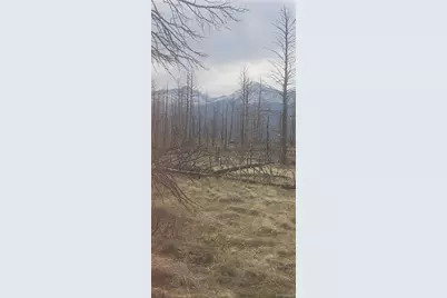 Lot 321 Hagin Lane, Fort Garland, CO 81133 - Photo 2