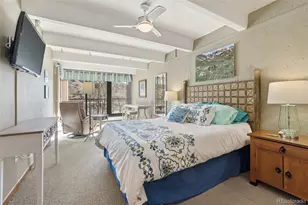 220 E La Bonte Street, Dillon, CO 80435 - Photo 24