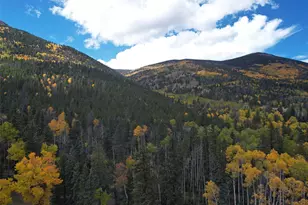 45950 Rainbow Trl, Villa Grove, CO 81155 - Photo 44