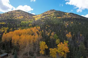 45950 Rainbow Trl, Villa Grove, CO 81155 - Photo 46