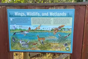 1304 Snowberry, Louisville, CO 80027 - Photo 46