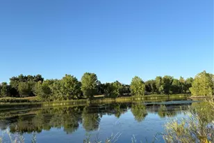 1304 Snowberry, Louisville, CO 80027 - Photo 44