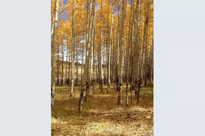 Foxtail Court, Fairplay, CO 80440 - Photo 4