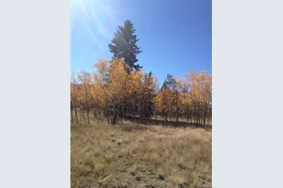 Foxtail Court, Fairplay, CO 80440 - Photo 10