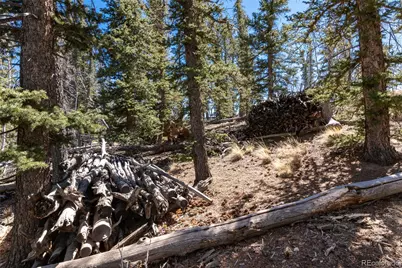 683 Latigo Loop, Hartsel, CO 80820 - Photo 2