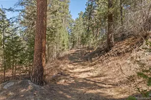 8722 S Ault Ln, Morrison, CO 80465 - Photo 40