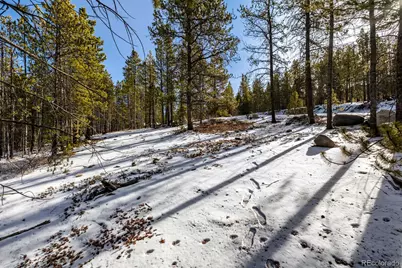 539 Sequoia Drive, Leadville, CO 80461 - Photo 6