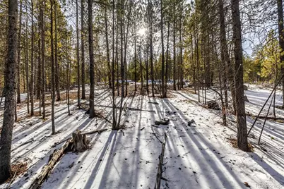 539 Sequoia Drive, Leadville, CO 80461 - Photo 14