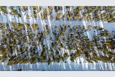 539 Sequoia Drive, Leadville, CO 80461 - Photo 42