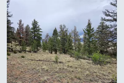 Pcs#24807 Satanta Trail, Hartsel, CO 80449 - Photo 38