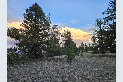 Pcs#24807 Satanta Trail, Hartsel, CO 80449 - Photo 6