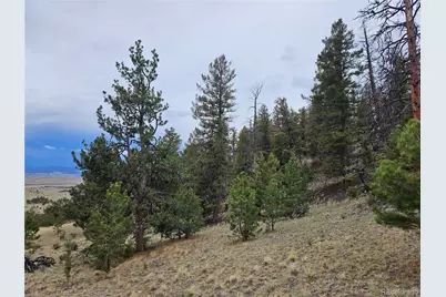 Pcs#24807 Satanta Trail, Hartsel, CO 80449 - Photo 36