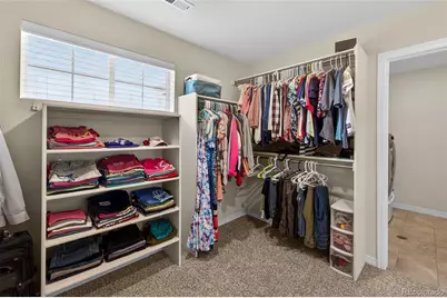 2656 Leafdale Circle, Castle Rock, CO 80109 - Photo 34