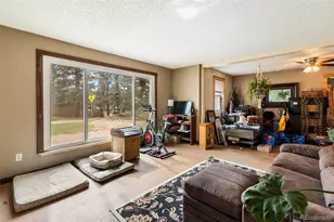 20 Westwood, Woodland Park, CO 80863 - Photo 8
