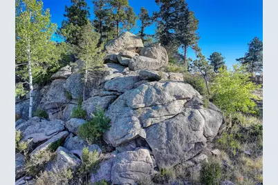 23047 Big Game Trail, Conifer, CO 80433 - Photo 8