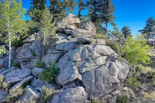 23047 Big Game Trail, Conifer, CO 80433 - Photo 8