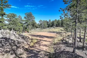 23047 Big Game Trail, Conifer, CO 80433 - Photo 26