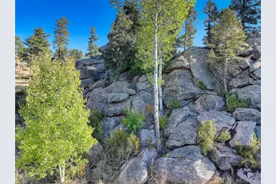 23047 Big Game Trail, Conifer, CO 80433 - Photo 24