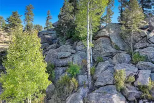 23047 Big Game Trail, Conifer, CO 80433 - Photo 24