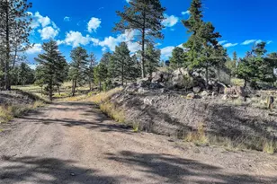 23047 Big Game Trail, Conifer, CO 80433 - Photo 32