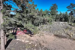 23047 Big Game Trail, Conifer, CO 80433 - Photo 40