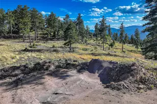 23047 Big Game Trail, Conifer, CO 80433 - Photo 38