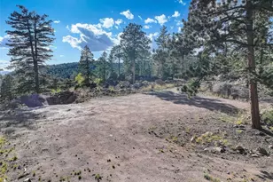 23047 Big Game Trail, Conifer, CO 80433 - Photo 34
