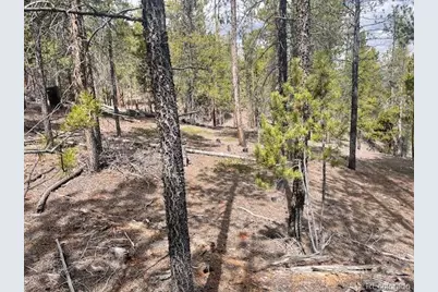 105 Parry Peak Drive, Twin Lakes, CO 81251 - Photo 6
