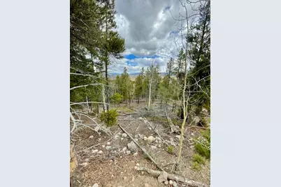 105 Parry Peak Drive, Twin Lakes, CO 81251 - Photo 4