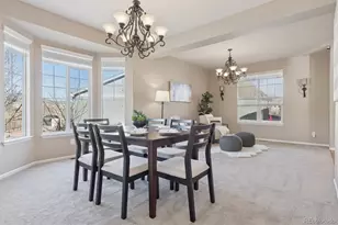 8367 Hackamore Rd, Littleton, CO 80125 - Photo 8