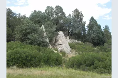 7749 Inca Road, Larkspur, CO 80118 - Photo 10