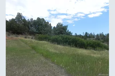 7749 Inca Road, Larkspur, CO 80118 - Photo 46