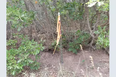 7749 Inca Road, Larkspur, CO 80118 - Photo 18