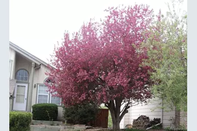 9533 Devonshire Place, Highlands Ranch, CO 80126 - Photo 2