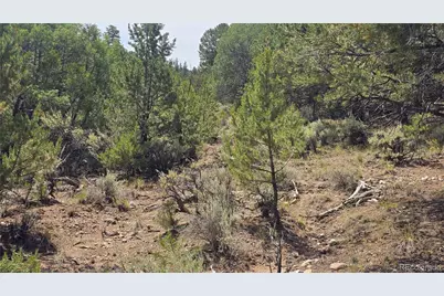 Lot 7892 Tiernan Road, Fort Garland, CO 81133 - Photo 14