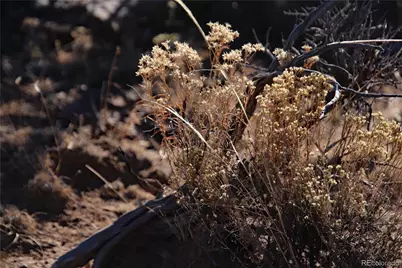 Parcel 17 Alta Mesa Drive, San Luis, CO 81152 - Photo 24