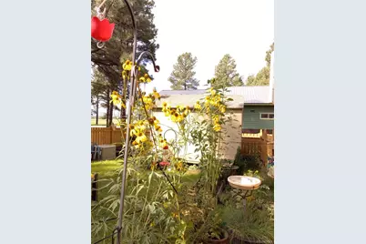 840 Cloud Cap Avenue, Pagosa Springs, CO 81147 - Photo 32