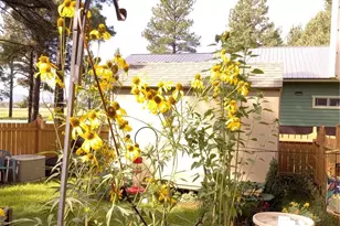 840 Cloud Cap Ave, Pagosa Springs, CO 81147 - Photo 32