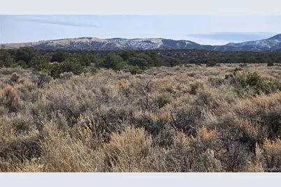 Lot 1075 Sylvia Road, Fort Garland, CO 81133 - Photo 8