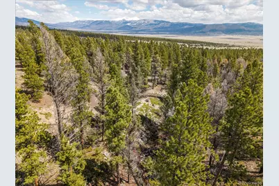 24900 County Road 339, Buena Vista, CO 81211 - Photo 10