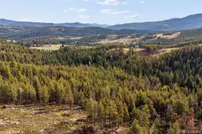 8570 S Warhawk Road, Conifer, CO 80433 - Photo 1