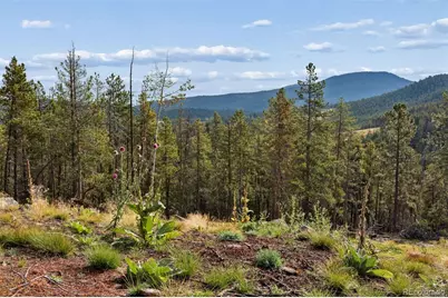 8570 S Warhawk Road, Conifer, CO 80433 - Photo 12
