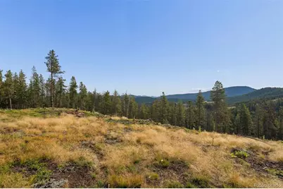 8570 S Warhawk Road, Conifer, CO 80433 - Photo 2