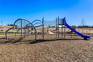 3602 Recess Ln, Castle Rock, CO 80108 - Photo 48