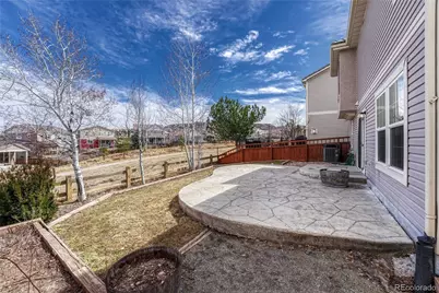 3641 Dinosaur Street, Castle Rock, CO 80109 - Photo 30