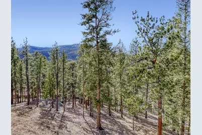 15 Gigi Lane, Evergreen, CO 80439 - Photo 18