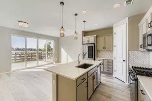 107 S Edge Cliff St, Castle Rock, CO 80104 - Photo 10
